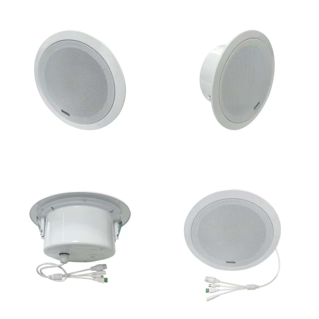 Haut-parleur de plafond IP 30W